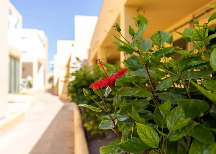 Caleta Paraiso Sea View 137 公寓 科斯塔德安提瓜