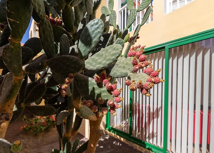 Caleta Paraiso Sea View 137 公寓