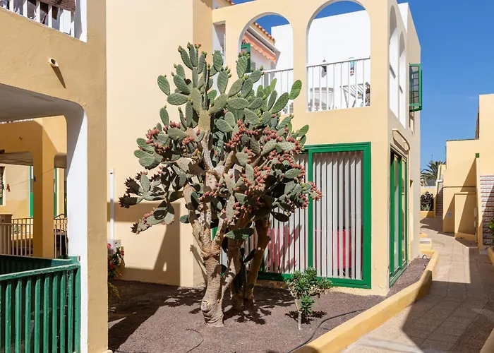 公寓 Caleta Paraiso Sea View 137