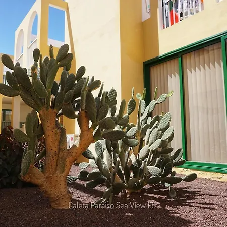Caleta Paraiso Sea View 137 Διαμέρισμα