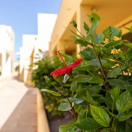 Caleta Paraiso Sea View 137 Διαμέρισμα Costa De Antigua