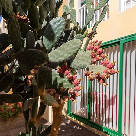 Caleta Paraiso Sea View 137 Διαμέρισμα