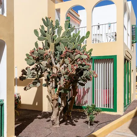 Διαμέρισμα Caleta Paraiso Sea View 137